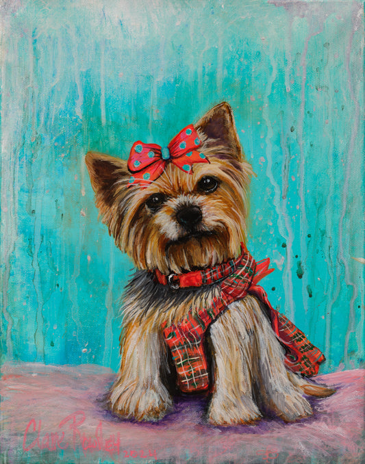 Portrait Of Dixie the Mini Yorkie