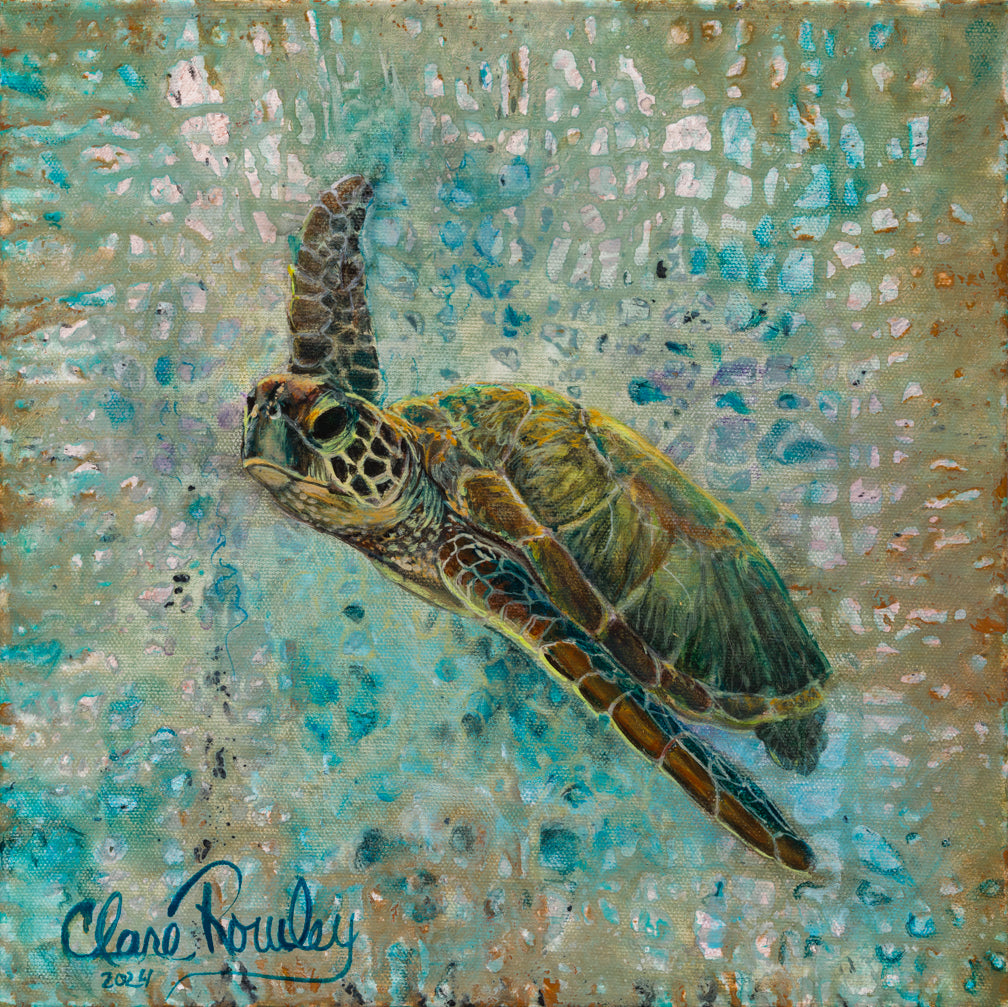Sea Turtle In Abstraction
