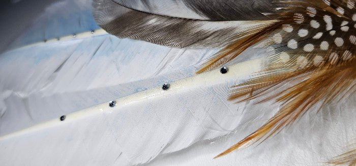 Smudging Feathers 005