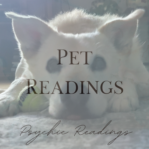 a white dog with the word Pet Readings