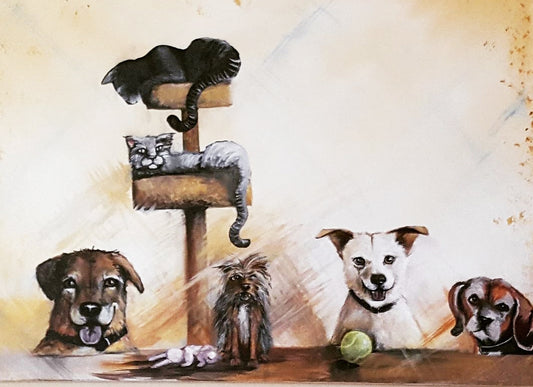 Looking Glass Pet Portrait