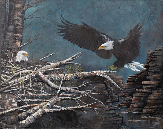 Eagle's Nest | Archival Prints | Giclee