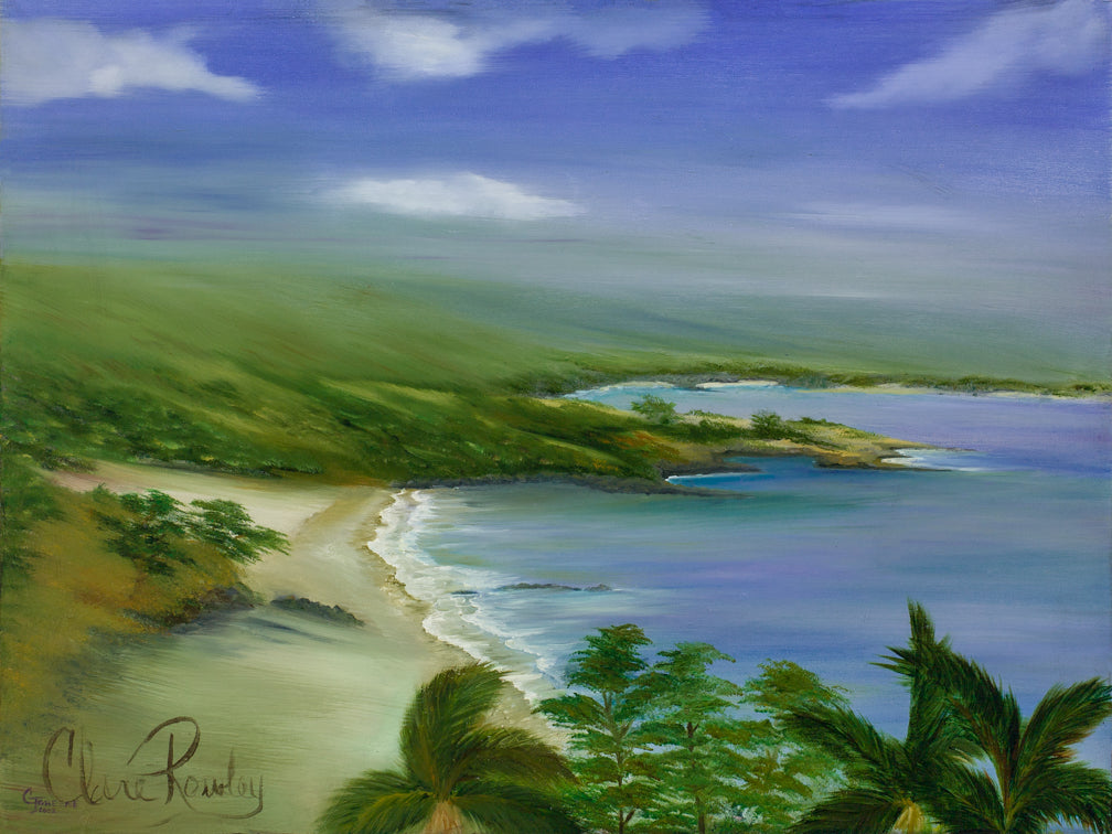 Hapuna Beach is on the Big Island in Hawaii and this painting depicts this sandy cove as it was before the Hapuna Prince resort took over the local's favorite, isolated calm seas area with purple aqua and blue water showing the shallow and easy to swim location. The palm trees sway as you sit between Volcanic rock embedded into the sand from the Kilauea Volcano