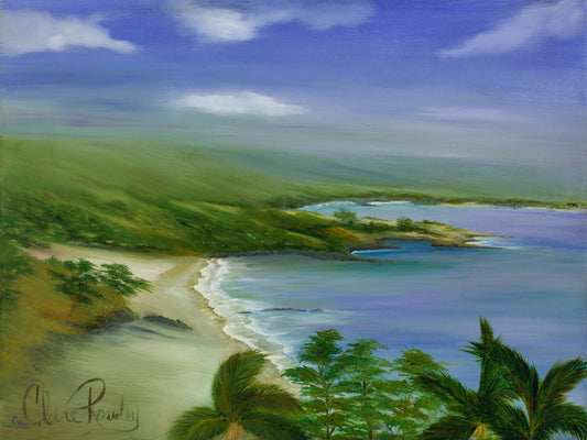 Hapuna Beach is on the Big Island in Hawaii and this painting depicts this sandy cove as it was before the Hapuna Prince resort took over the local's favorite, isolated calm seas area with purple aqua and blue water showing the shallow and easy to swim location. The palm trees sway as you sit between Volcanic rock embedded into the sand from the Kilauea Volcano