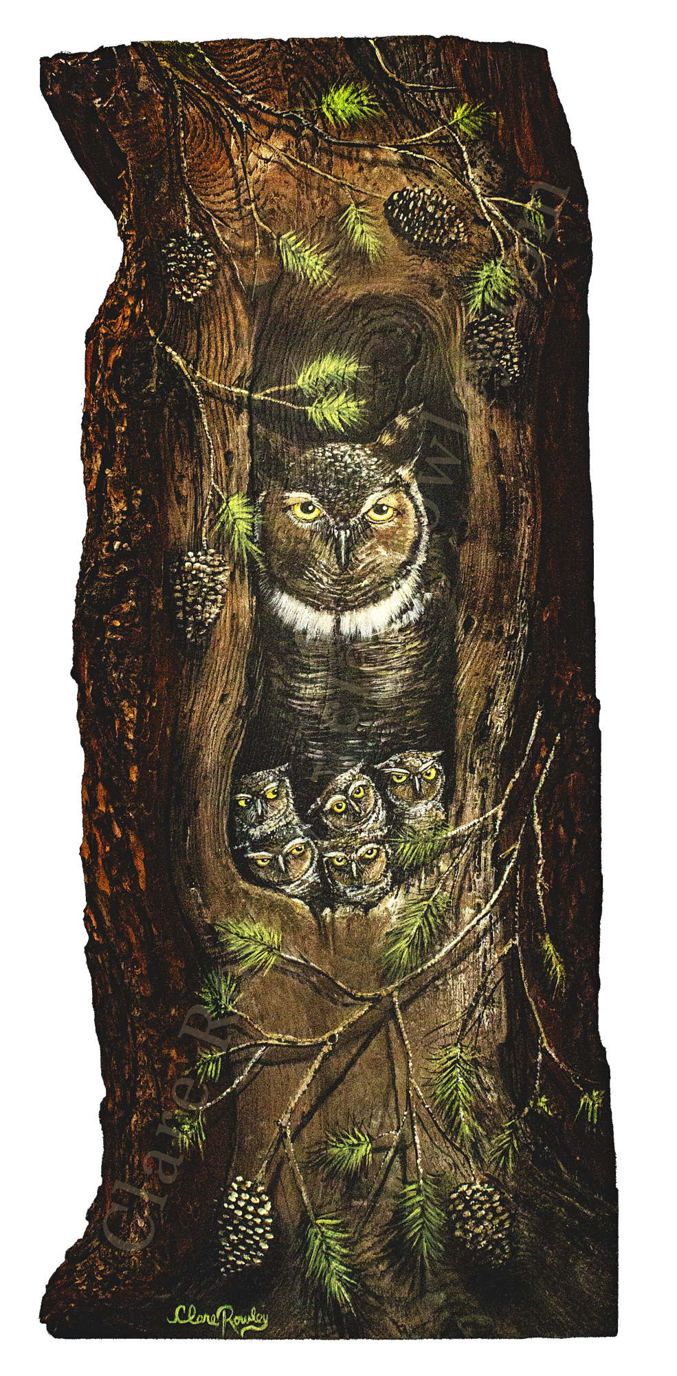Nested Owls